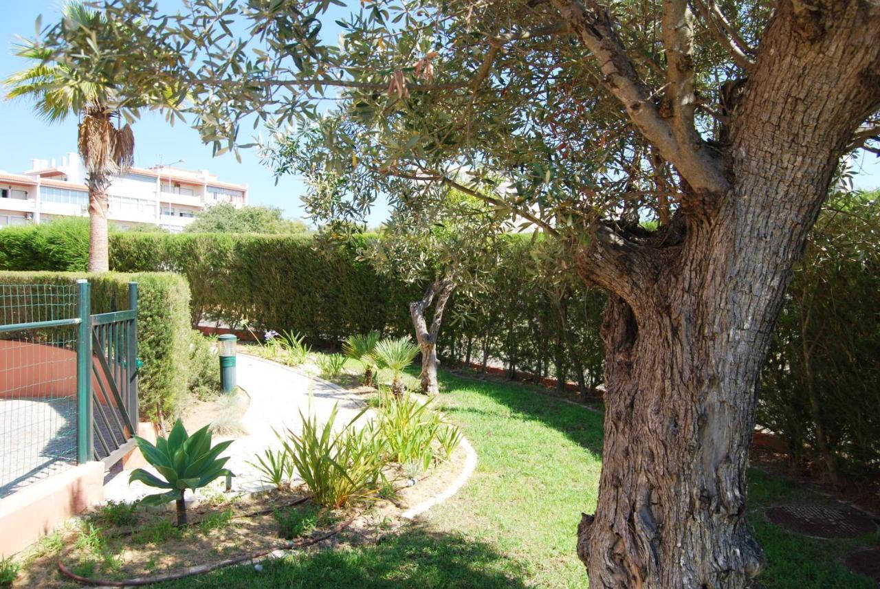 Litoralmar Beachfront Apartment Portimão Eksteriør billede